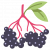 berries (1)